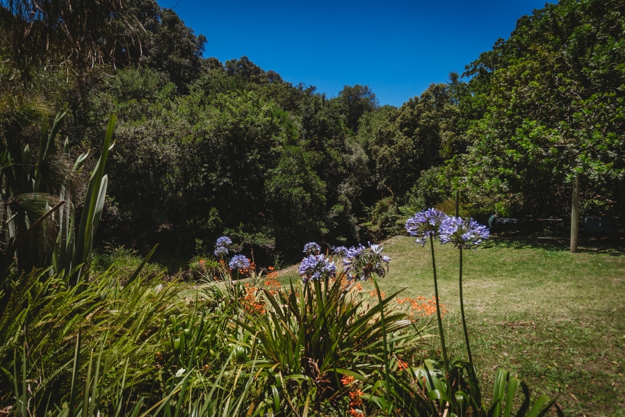 4 Bedroom Property for Sale in Denver Park Western Cape